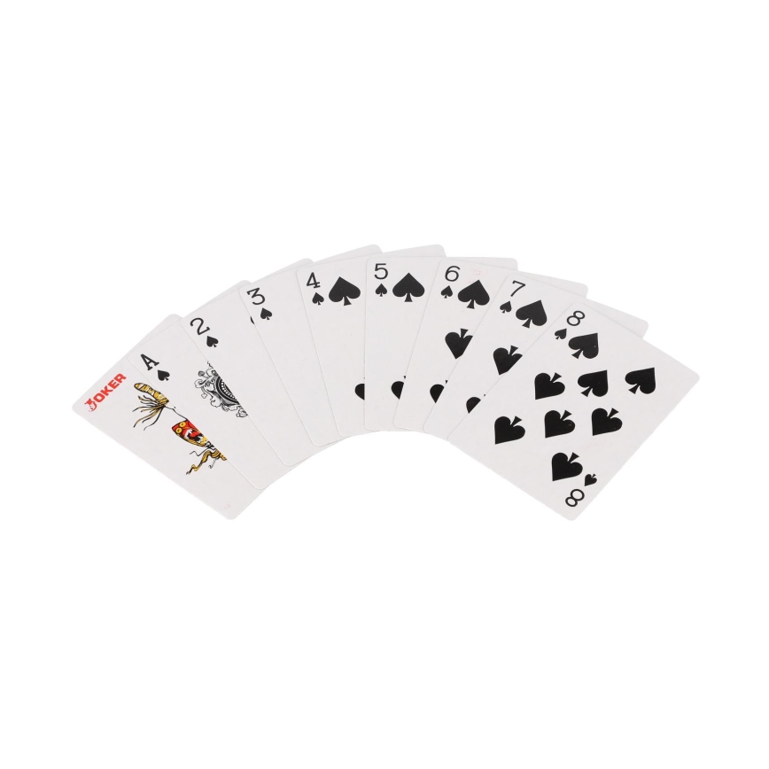 100-Piece Poker Set in a Carry Case