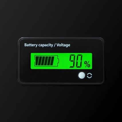 12.8V/100Ah LiFePO4 Battery with Built-in Display