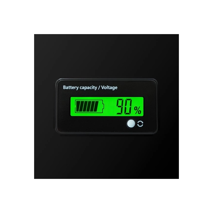 12.8V/100Ah LiFePO4 Battery with Built-in Display