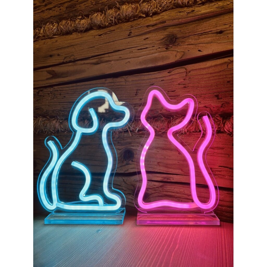2Kids Toys - LED Neon table decoration LED/5W/USB cat