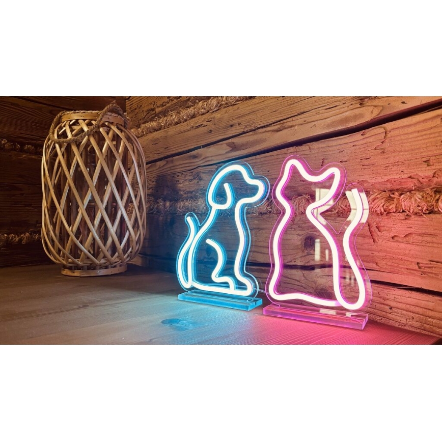2Kids Toys - LED Neon table decoration LED/5W/USB cat