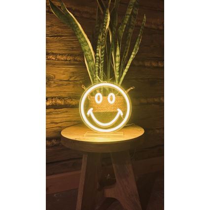 2Kids Toys - LED Neon Tabletop Decoration LED/5W/USB Smiley Face