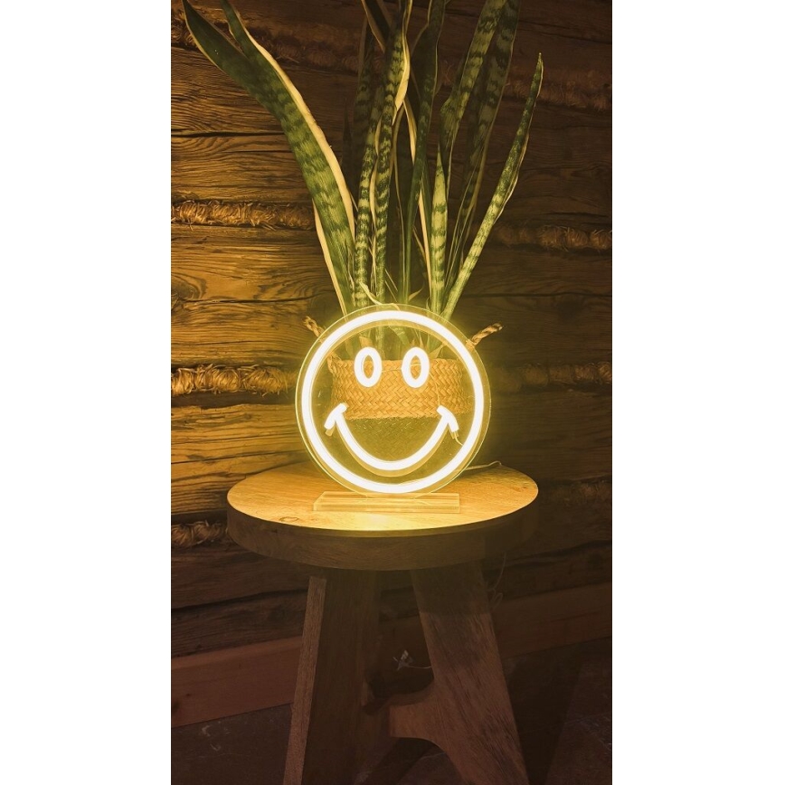 2Kids Toys - LED Neon Tabletop Decoration LED/5W/USB Smiley Face