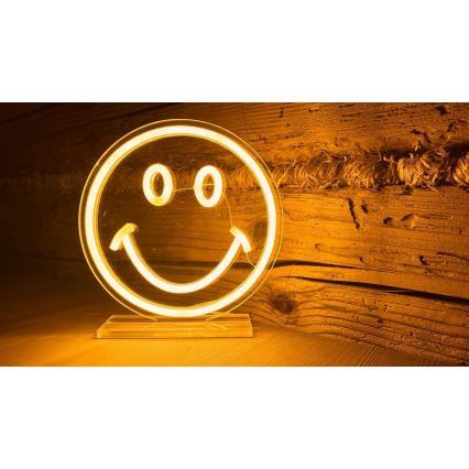 2Kids Toys - LED Neon Tabletop Decoration LED/5W/USB Smiley Face