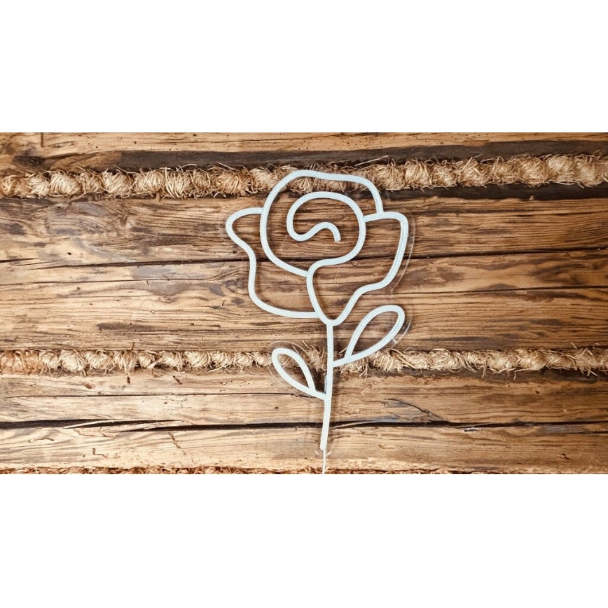 2Kids Toys - LED Neon wall decoration LED/5W/USB rose