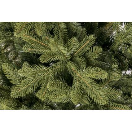 3D Christmas Tree 180 cm – Spruce