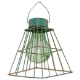 Solar pendant lights