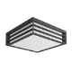 Ceiling lights