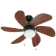 Fans