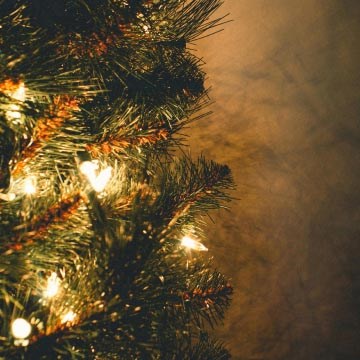 Christmas tree lights