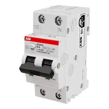 ABB 2CSR255080R1165 - 2-pole protector with circuit breaker DS201 B16 230V