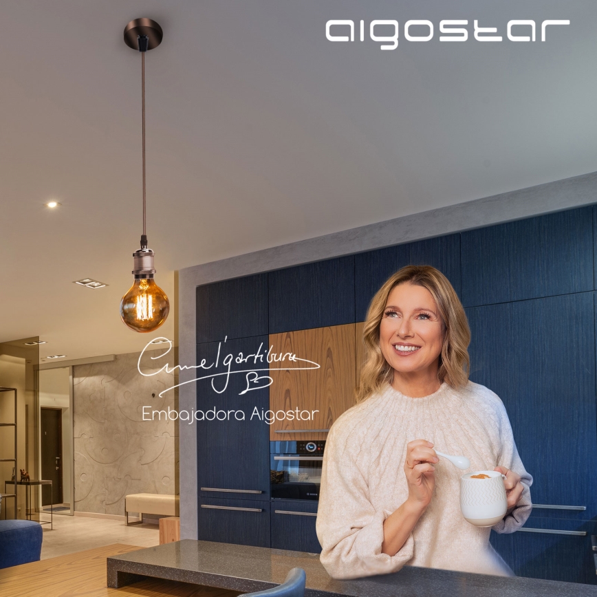 Aigostar - Charging cable 1xE27/60W/230V copper