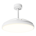 Aigostar - Dimmable LED Ceiling Fan LED/50W/230V 2700-6500K Ø 106 cm white + remote control