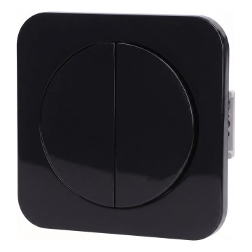 Aigostar - Double Light Switch with Frame No. 1, Black