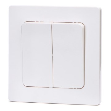 Aigostar - Double Switch with Frame No. 5, White
