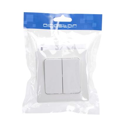 Aigostar - Double Switch with Frame No. 5, White