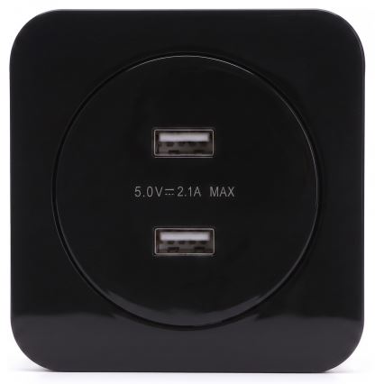 Aigostar - Framed USB power outlet, 2x USB-A, black