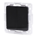Aigostar - Frameless Double Light Switch No. 5, Black