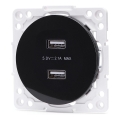 Aigostar - Frameless USB Power Outlet, 2x USB-A, Black