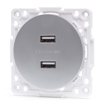 Aigostar - Frameless USB Power Outlet, 2x USB-A, Silver