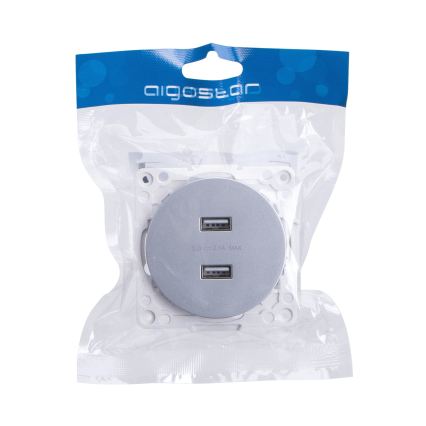 Aigostar - Frameless USB Power Outlet, 2x USB-A, Silver