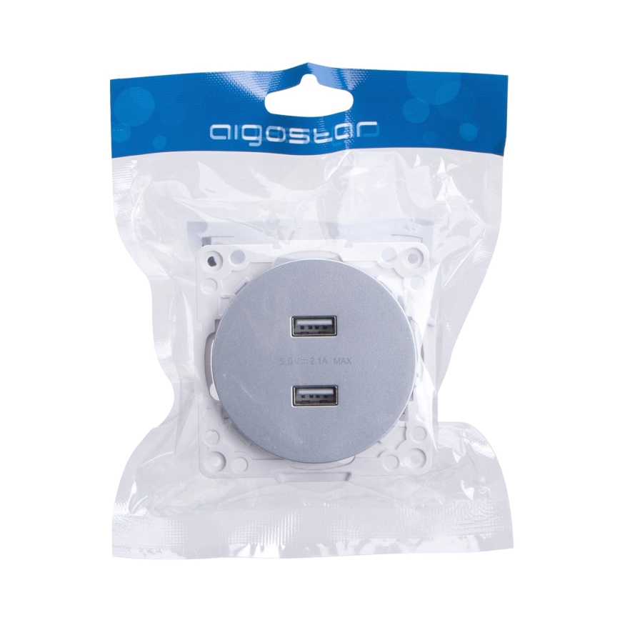 Aigostar - Frameless USB Power Outlet, 2x USB-A, Silver