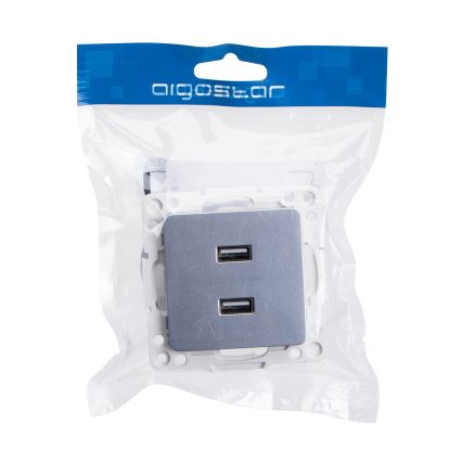 Aigostar - frameless USB power outlet 2x USB-A silver