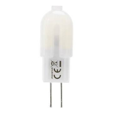 Aigostar - LED Bulb G4/1,3W/12V 6500K
