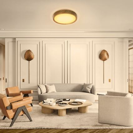 Aigostar - LED Ceiling light LED/12W/230V 3000K d. 26,3 cm