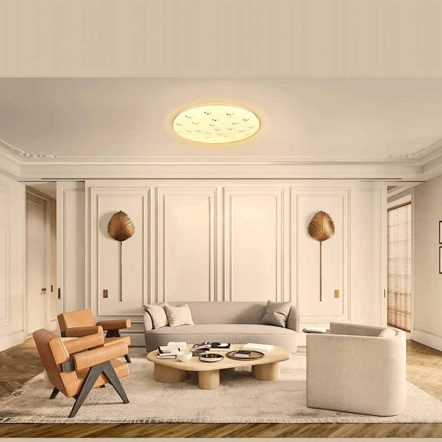 Aigostar - LED Ceiling light LED/12W/230V 3000K d. 26cm