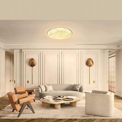 Aigostar - LED Ceiling light LED/12W/230V 3000K d. 26cm