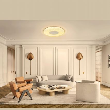 Aigostar - LED Ceiling light LED/12W/230V 3000K d. 26cm