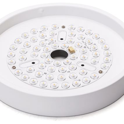 Aigostar - LED Dimmable ceiling fan LED/24W/230V 2700-6500K d. 165 cm + remote control white