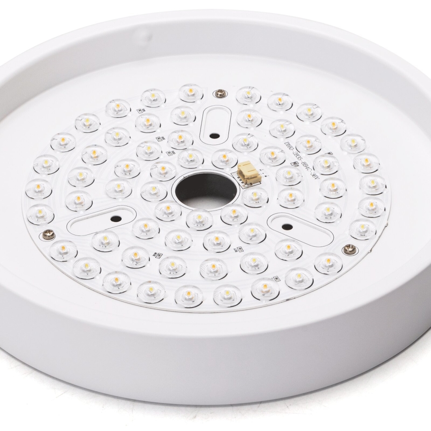 Aigostar - LED Dimmable ceiling fan LED/24W/230V 2700-6500K d. 165 cm + remote control white