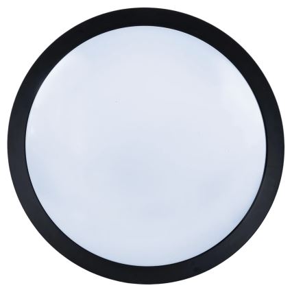 Aigostar - LED Dimmable ceiling fan LED/50W/230V 2700-6500K 106cm black + remote control