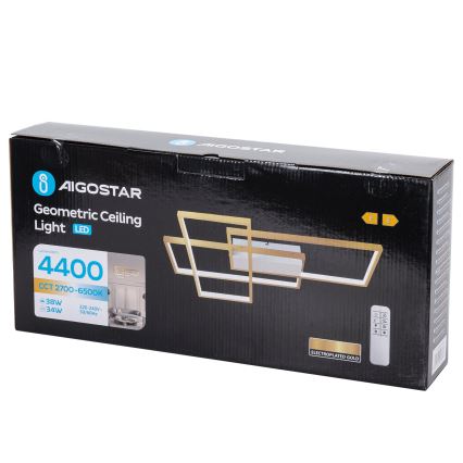 Aigostar - LED Dimmable ceiling light LED/38W/230V 2700-6500K + remote control