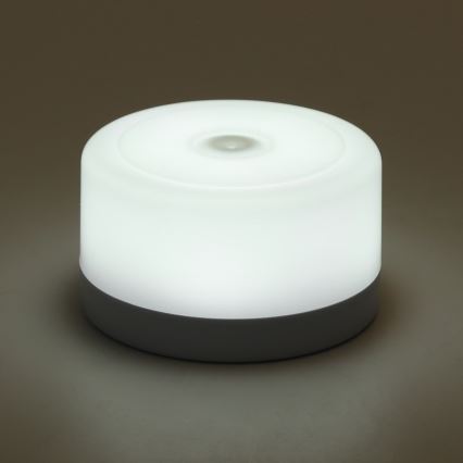 Aigostar - LED Dimmable portable night light LED/1W/5V 6500K + USB