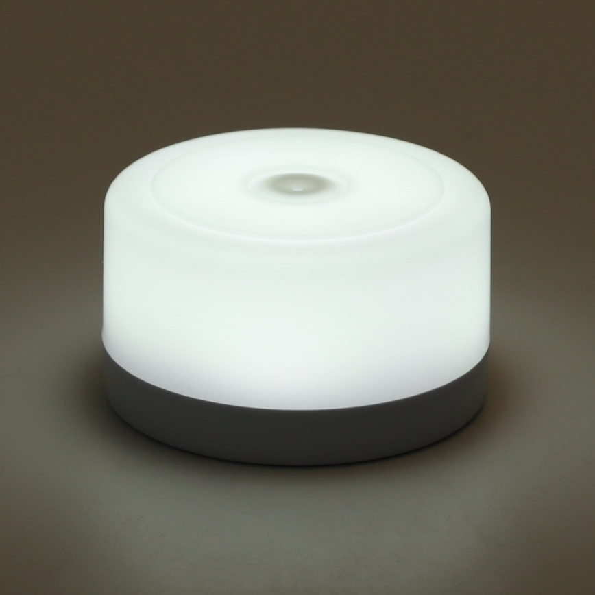 Aigostar - LED Dimmable portable night light LED/1W/5V 6500K + USB