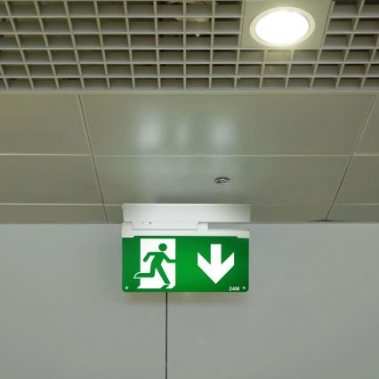 Aigostar - LED Emergency light EMERGENCY EXIT LED/3,6W/230V 6500K 500mAh