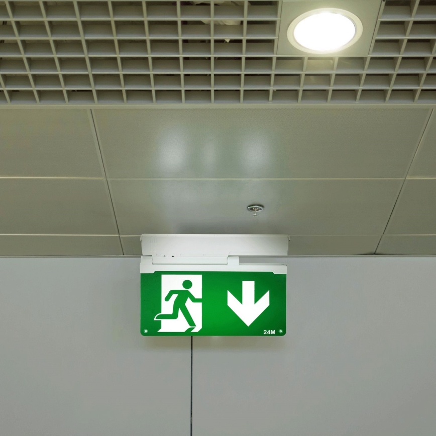 Aigostar - LED Emergency light EMERGENCY EXIT LED/3,6W/230V 6500K 500mAh