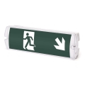 Aigostar - LED Emergency light EMERGENCY EXIT LED/4W/230V IP65 6500K 600mAh