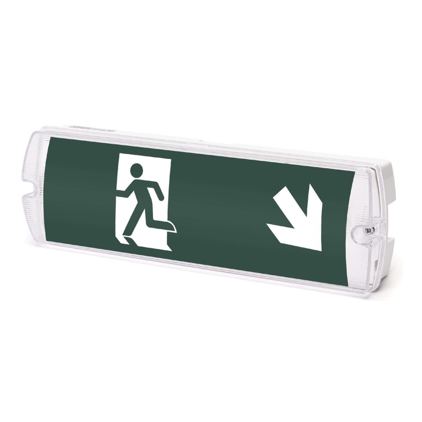 Aigostar - LED Emergency light EMERGENCY EXIT LED/4W/230V IP65 6500K 600mAh