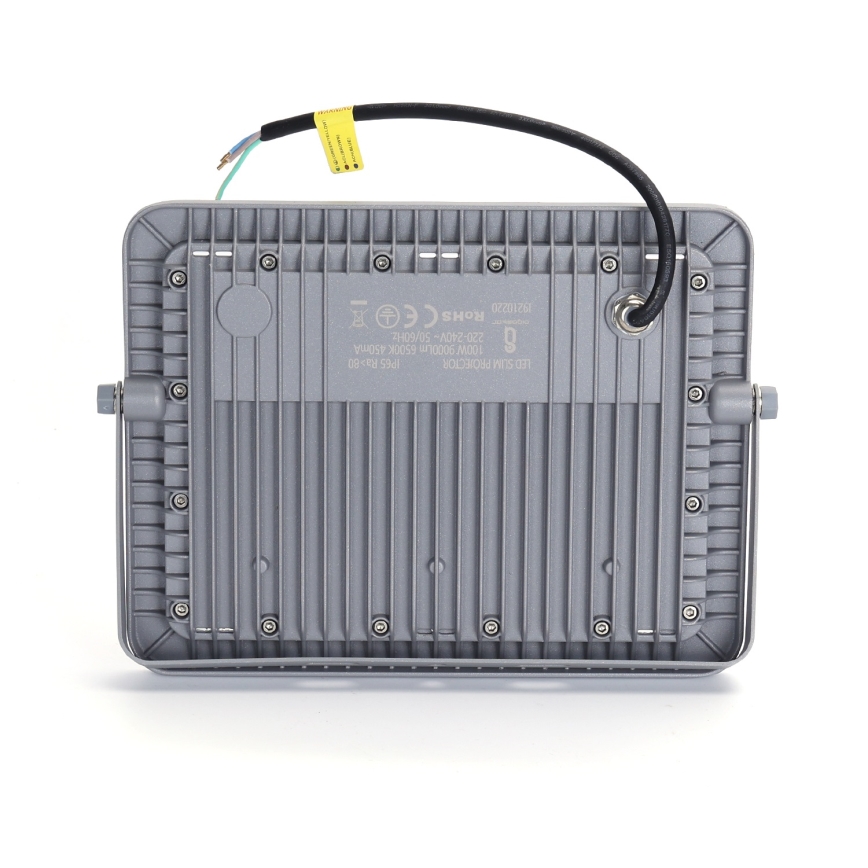 Aigostar - LED Floodlight LED/100W/230V grey 6500K IP65