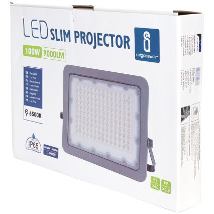 Aigostar - LED Floodlight LED/100W/230V grey 6500K IP65