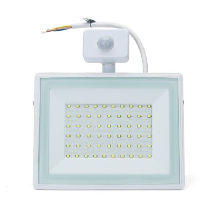 Aigostar - LED Floodlight with a sensor LED/50W/230V 6400K IP65 white