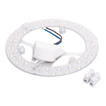 Aigostar - LED Magnetic Module LED/24W/230V 4000K