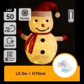Aigostar - LED Outdoor Christmas Snowman Decoration, 50 LEDs, Battery-powered (3×AA), 0.7 m, IP44, with Remote Control