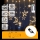 Aigostar - LED Outdoor Christmas string lights 120xLED/6W/230V/8 lighting modes 3x0,6m IP44 warm white + remote control