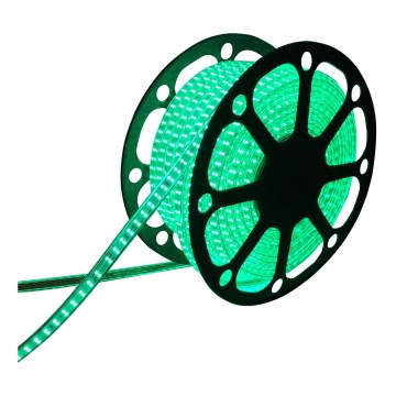 Aigostar - LED Outdoor strip 50m LED/350W/230V green IP65