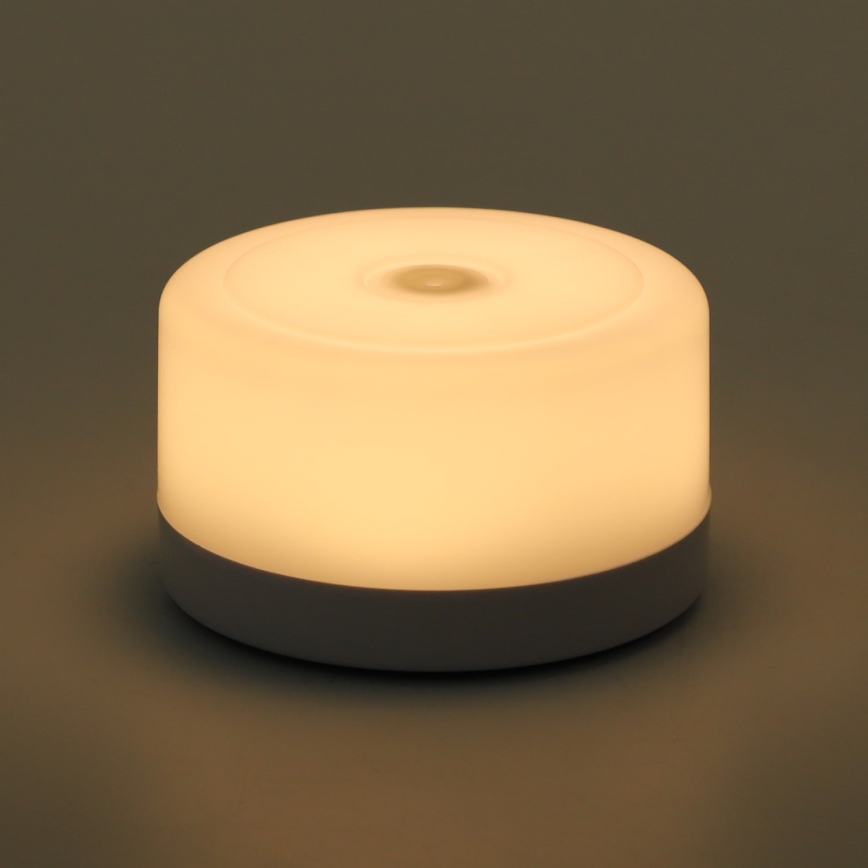 Aigostar - LED Portable night light LED/1W/5V 3000K + USB